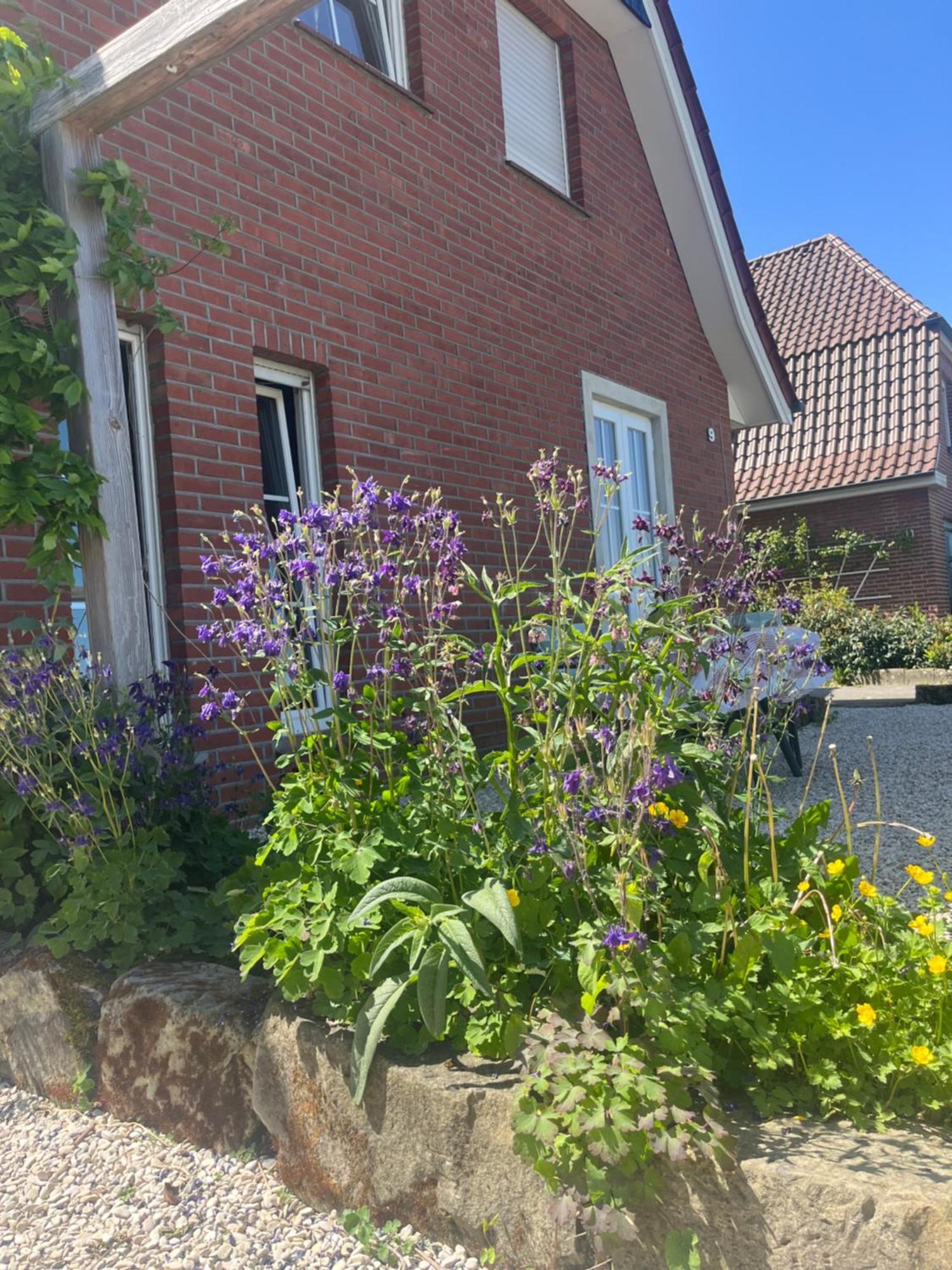 Ferienwohnung Waldseite Bad Bentheim Exterior foto